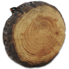 MeroWings® Forest Annual Ring Cushion 80 cm